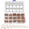 YIXISI 250 Pezzi 5-14 mm Carburante Morsetto a Molla, Morsetti Clip per Tubo Flessibile per Carburante, Fascette per Tubi a Filo Singolo, Fascette Stringitubo per Moto Scooter ATV (10 Taglie)