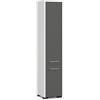 AKORD | Mobile Alto da Bagno FIN 2D | 30x140x30 cm, peso 25 kg | 2 Ante | Moderna Mobiletto | Armadio a muro | Armadietto chiuso in piedi | Adatto Anche come Pensile | Bianco/Grigio grafite