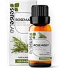 SenseLAB Olio essenziale di Rosmarino - Olio di Rosmarino Terapeutico Naturale e Puro al 100% per Umidificatore Diffusore di Aromaterapia - Olio per la Cura Dei Capelli e Della Pelle (10 ml)