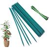 DeJivsin 25pcs 30cm Paletti per Orto Pomodori, Supporto per Piante, Bastoncini per Piante, Bastoni Verdi di Bambù per Piante con 25 Lacci per Orchidee da Giardino e Supporti per Piante Rampicanti
