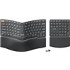 ProtoArc Tastiera ergonomica senza fili EK04, 2,4 GHz, tastiera numerica separata, design diviso, poggiapolsi rigido, ricaricabile, per PC Windows