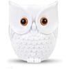 Aokicase For Amazon Echo dot 2nd/3rd/4th/Echo dot 5/Google Home mini Owl Holder Desktop Stand Bracket Accessories with Integrated Cable Management,No Screws Needed Speaker Rack(White) KS-082