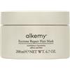 Alkemy Maschera Ristrutturante Intensa per Capelli Secchi e Danneggiat