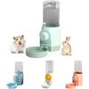 Dyiouxin Abbeveratoio per Conigli,Borraccia Acqua per Piccoli Animali,500ml Abbeveratoio Conigli,Beverino Criceto,per Piccoli Animali Domestici,Coniglietti,Gatti,Criceto