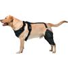 Pavsicgn Tutore per Anca per Cani, Ginocchiera ACL per Cani - Tutore CCL Regolabile per la Cura del Cane | Supporto per la Gamba Posteriore del Cane, tutore per la Gamba Posteriore del Cane per Le