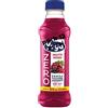 Generico Succhi Frutti Rossi Zero, Senza Zuccheri Aggiunti, 12 Bottiglie da 500 Ml