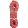 Beal Tiger 10 mm Unicore Golden Dry corda arrampicata