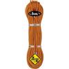 Beal Wall Master VI 10.5 mm Unicore Classic corda arrampicata