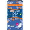 Lines Idea Notte Assorbenti Ipoallergenici Con Ali 14 Pezzi