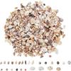 Generico 1000Pezzi Conchiglie Marine Mini Naturali Miste, 20 Tipi Di Piccole Conchiglie All'ingrosso Per Lavori Creativi, Piccole Conchiglies E Stelle Marine Miste, Decorazione Candela Festa Tema Spiaggia DIY