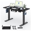 FLEXISPOT Scrivania Regolabile in Altezza 120x60 cm, Piano Unico FSC, 4 Memorie, Anticollisione con Ritorno Automatico, 2 Ganci, Portaoggetti e Gestione Cavi