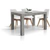 PAZZO DESIGN Tavolo Allungabile Anna, Grigio Cemento, Cucina, Sala Da Pranzo, Soggiorno, Made in Italy, 120x80x76 cm - id_1897
