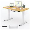 FLEXISPOT Scrivania Regolabile in Altezza 100x60 cm, Piano Unico FSC, 4 Memorie, Anticollisione con Ritorno Automatico, Portaoggetti e Gestione Cavi