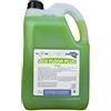 ECOBOLLE Detersivo per Pavimenti Professionale Igienizzante, Eco Floor Plus Lime 5KG
