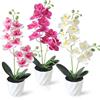 Dremisland Set di 3 orchidee artificiali in vaso (38 cm) bianco e rosa, fiori artificiali come veri fiori di seta, fiori artificiali Phalaenopsis, pianta decorativa per tavolo, decorazione per la casa
