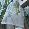 Generic Sacchetti protettivi riutilizzabili in organza, 100 pezzi, copertura traspirante per frutta e verdura, per la prevenzione di uccelli e insetti, sacchetti a rete per giardino e vigneto (10 x 15 cm)