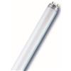 RADIUM Spectralux® Plus T8, 3-Banden-Leuchtstofflampe, 26 mm ø, Sockel G13 18 Watt / 840