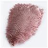 Pmnzdy - 10 piume di struzzo, 30-35 cm, piume colorate naturali per fai da te, decorazione DIY, piume di struzzo per casa, matrimonio, festa, tavolo, esstische, carnevale, acchiappasogni, decorazione
