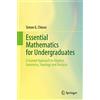 Springer Essential Mathematics for Undergraduates: A Guided Approach to Algebra, Geometry, Topology and Analysis
