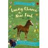 Bloomsbury Lucky Chance the New Foal