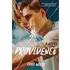 Union Square & Co. Providence: A Novel