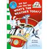 HARPERCOLLINSCHILDREN'SBOOKS Oh Say Can You Say What's The Weather Today: A Rhyming Children's Book