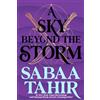 G.P. Putnam's Sons Books for Young Reade A Sky Beyond the Storm: a novel: 4