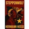 The Lost Book Project Steppenwolf: Illustrated Book by Hermann Hesse