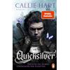 Penguin TB Verlag Quicksilver - Tochter des Silbers. Gefangener der Schatten: Roman. Dark and spicy Enemies-to-Lovers Romantasy: 1