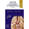Elsevier Netter. Flashcards de neurociencia