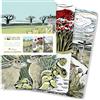 Flame Tree Gift Angela Harding Set of 3 Mini Notebooks