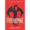 G.P. Putnam's Sons Books for Young Reade Fireborne: 1