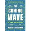 Vintage The Coming Wave: AI, Power and Our Future: The instant Sunday Times bestseller from the ultimate AI insider