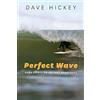 University of Chicago Press Perfect Wave: More Essays on Art and Democracy