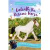 Zephyr Goliath the Rescue Horse