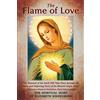 Queen of Peace Media The Flame of Love: The Spiritual Diary of Elizabeth Kindelmann