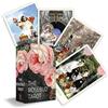 Weiser The Rosebud Tarot: An Archetypal Dreamscape, 78 Cards and 96 Page Full-color Guidebook