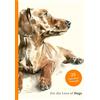 Laurence King Publishing For the Love of Dogs: 25 Postcards