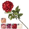 Mathilde M Home STELO PEONIA 72CM 5 ASS.