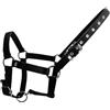 CAZSTYK Cavezze ergonomiche con fettuccia in PP regolabile Cavezza regolabile per addestramento cavalli con fettuccia in PP