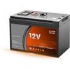 JHKJ Batteria al Litio Portatile per Esterni 12V 18Ah 20Ah, Pacco Batteria al Litio con Porta USB e Interruttore, batterie di Alimentazione a 12 Volt per Camper/Campeggio,12v20ah Charger