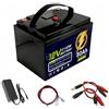 JHKJ Batteria al Litio Portatile da Esterno da 12 V 80 Ah 100 Ah, Batteria al Litio Ferro fosfato da 12 Volt per Kit Motore di Camper/Veicoli/rimorchi con Interruttore e Maniglia,12v80ah Charger