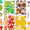 YoothBro 70+ Pezzi Fiori Pressati Essiccati in Vera Natura per Stampi in Resina, Set Floreale Pressato a Secco per Gioielli Fai Da Te, Creazione di Cartoline per Unghi Bright Fruit