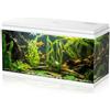 Aqpet Acquario in Vetro per Pesci tropicali Completo di Accessori Filtro Luce Simply, 100 80x32x47 cm 100 Litri, Bianco