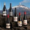 Etna Rosso Box Degustazione [6 bot]