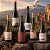 Etna Outsider Box Degustazione [6 bot]