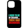Grandma Humorous For Mom Vintage Style Custodia per iPhone 13 Pro Max Usato Charge poi aveva nipoti divertente detto