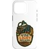 Jimbeels Custodia per iPhone 16 Pro Vise Light Ready Mosche Artificiali