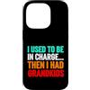 Grandma Humorous For Mom Vintage Style Custodia per iPhone 14 Pro Usato Charge poi aveva nipoti divertente detto