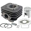 Generico Gruppo Termico Completo Ø 40mm per Motore P i a g g i o 50cc 2T Aria - Kit Cilindro, Pistone, Fasce e Spinotto 12mm - Compatibile con Zip, Typhoon, NRG, Liberty, Free, Stalker